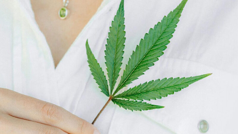 10 Things to Know About CBD in Fashion